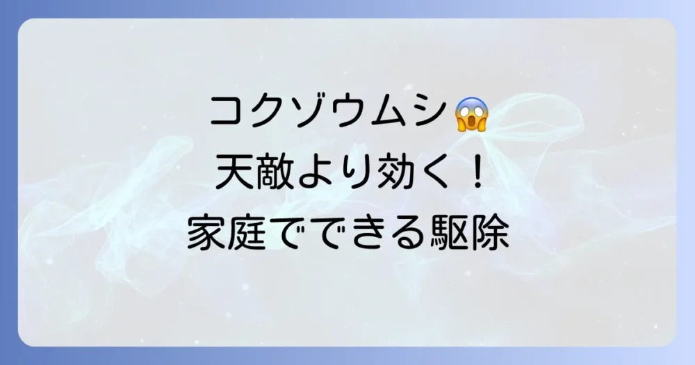 【実践編】天敵より効果的!コクゾウムシの駆除方法