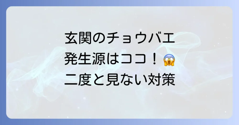 玄関のチョウバエはどこから？原因と駆除、二度と見ないための予防策を徹底解説
