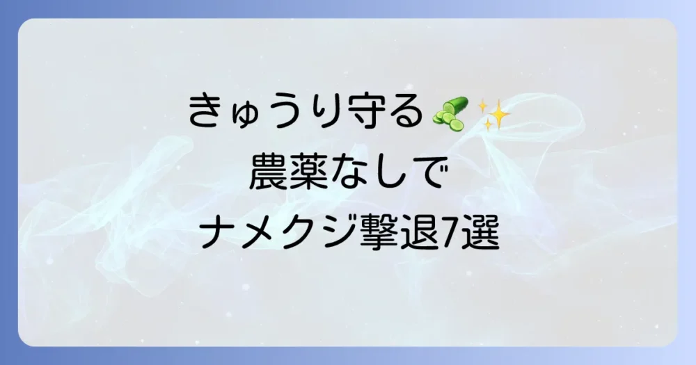 【農薬を使わない】きゅうりのナメクジ駆除・撃退法7選