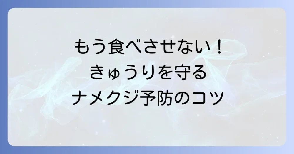 今後の被害を防ぐ!きゅうりをナメクジから守る徹底予防策
