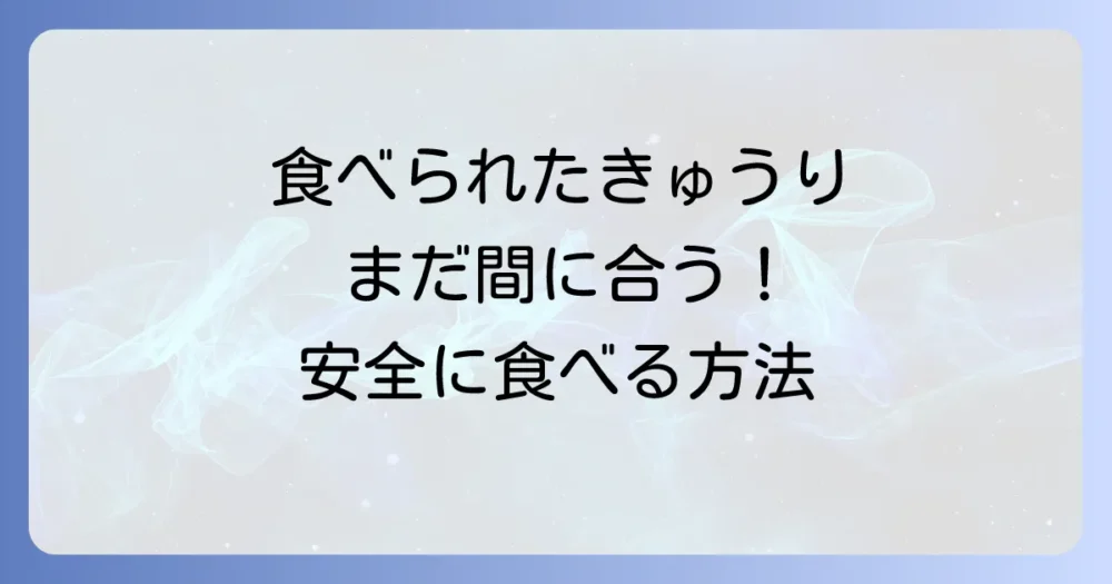 もし食べられてしまったら?ナメクジ被害にあったきゅうりの対処法