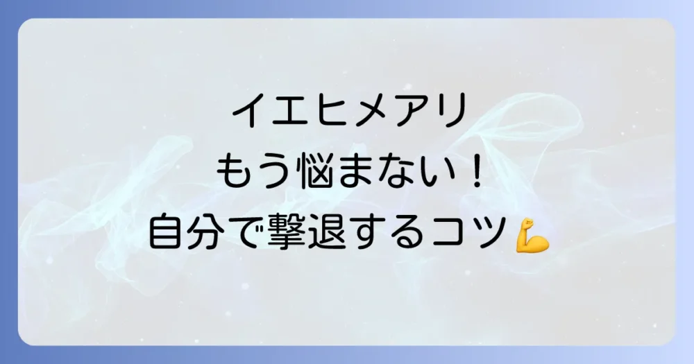 【自分でできる】イエヒメアリの効果的な駆除方法