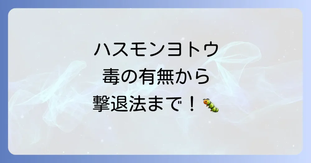 まとめ