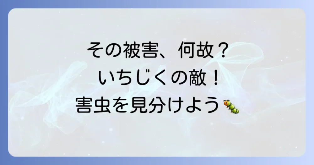 いちじく栽培で注意すべき害虫一覧