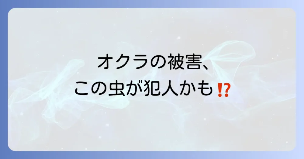 オクラを襲う!知っておくべき主要な害虫とその被害