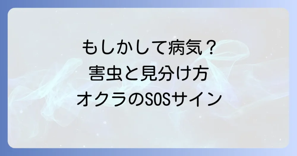 これって病気?害虫被害と間違いやすいオクラの症状