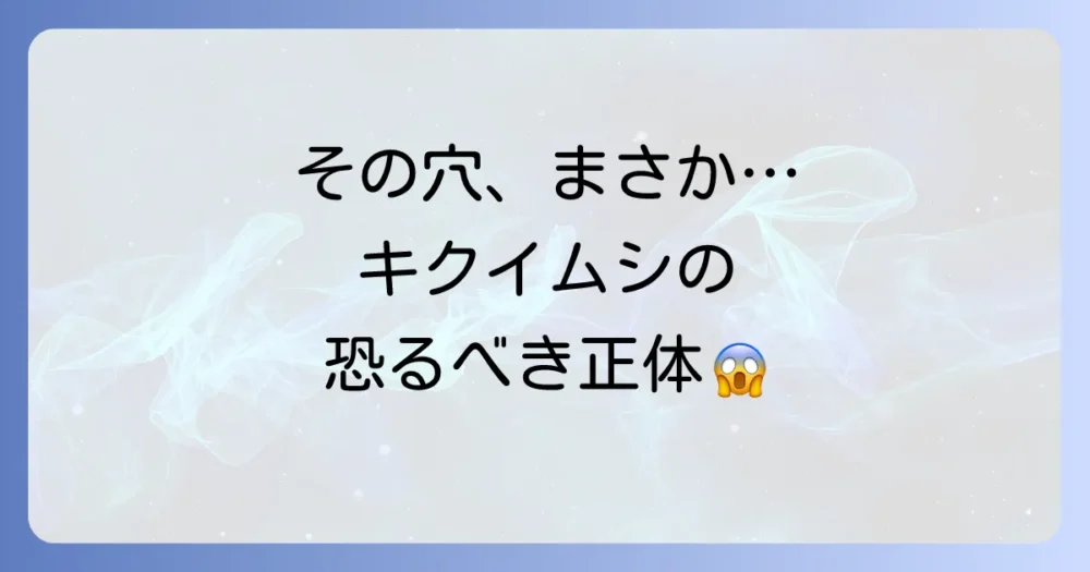 そもそもキクイムシとは?その生態と危険性