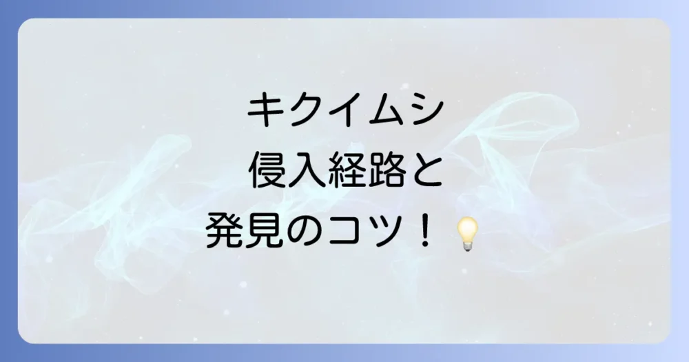キクイムシの発生原因と見分け方