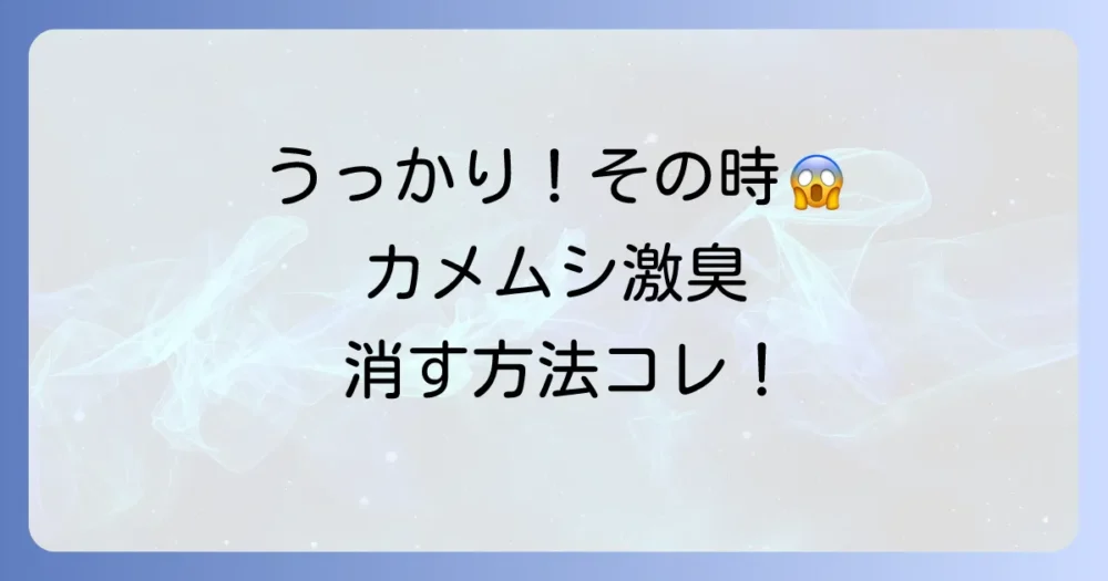 もしもの時のために!カメムシの臭い対策