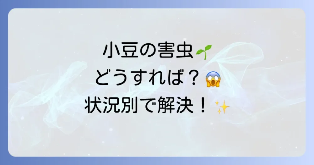 【状況別】小豆の害虫駆除方法