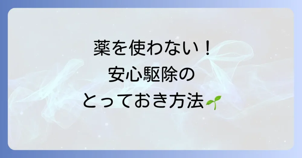 【薬剤に頼らない】手作りスプレーと物理的な駆除方法