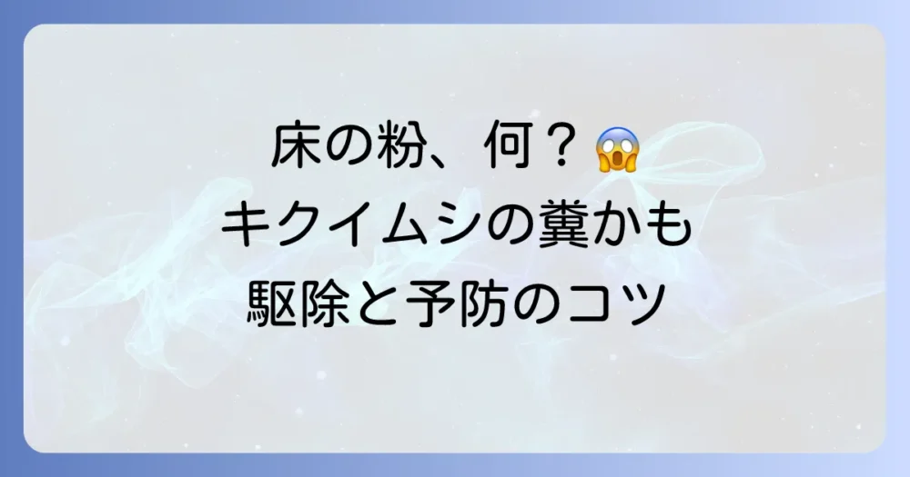 キクイムシの糞？床の木くずの正体と完全駆除・予防法をプロが解説