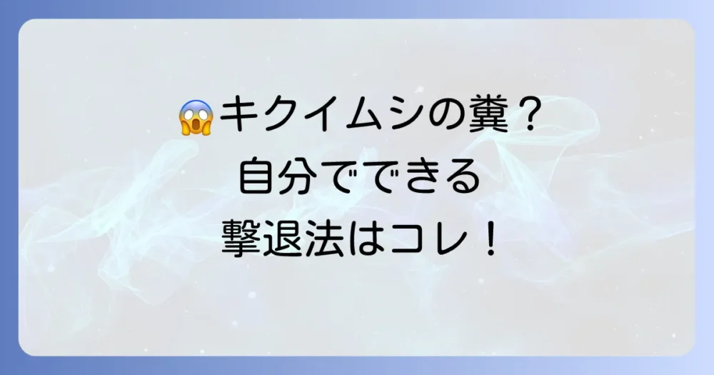 キクイムシの糞を見つけたら？自分でできる駆除方法