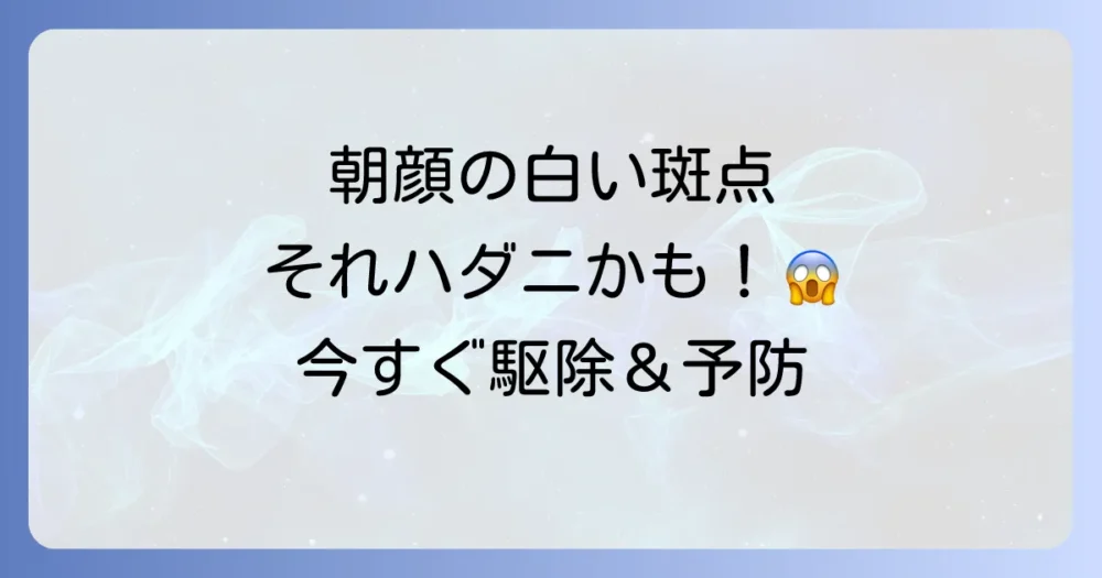 朝顔の葉に白い斑点が！ハダニの駆除と予防法を徹底解説