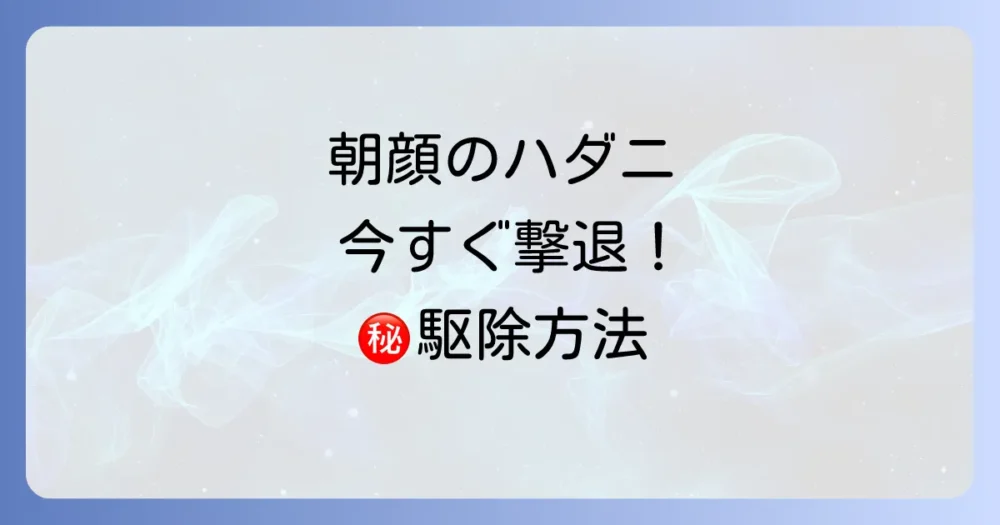 今すぐできる!朝顔のハダニ駆除方法
