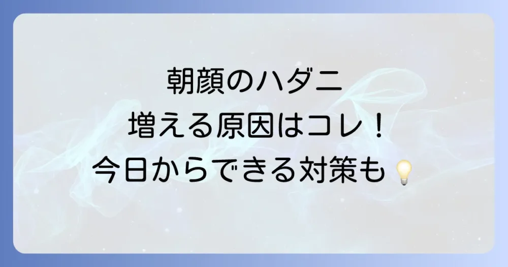 なぜ発生する?朝顔にハダニがつく原因