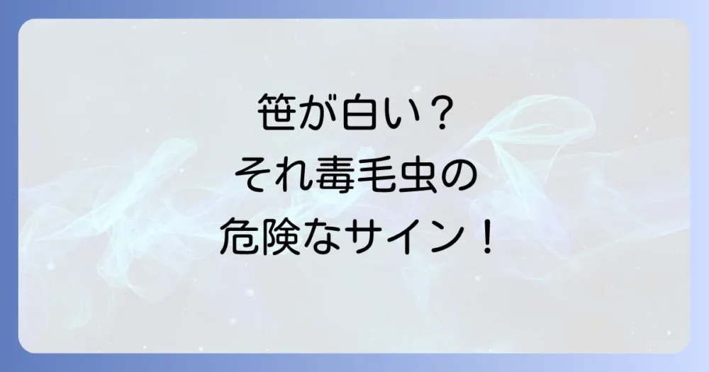 笹の葉が白くなるのは毛虫のサイン?被害状況の確認方法