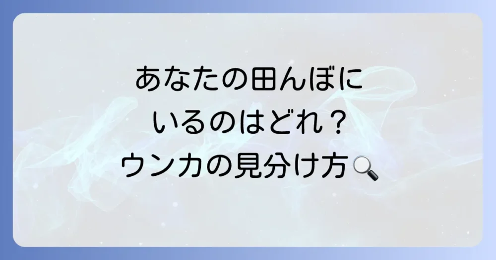【種類別】ウンカの生態と見分け方