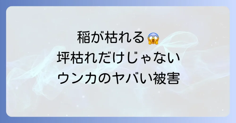 ウンカがもたらす深刻な被害