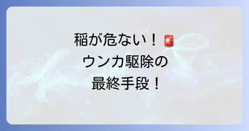 【今すぐできる】ウンカの駆除・対策方法