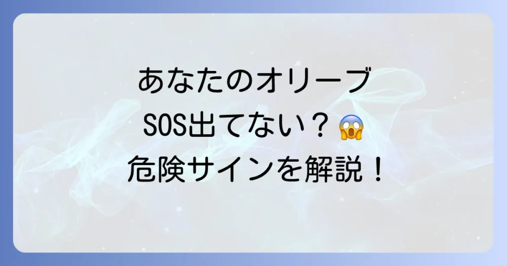 【危険サイン】オリーブアナアキゾウムシの被害症状を見逃すな!