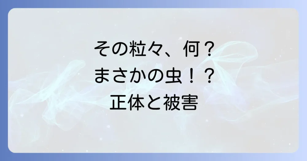 そもそもタマカタカイガラムシってどんな虫?