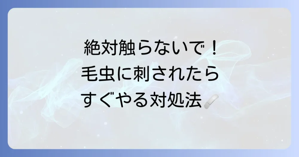 絶対に触らないで!松の毛虫に刺された時の正しい対処法
