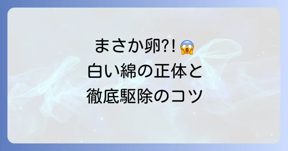 コナカイガラムシの卵【画像あり】白い綿の正体と駆除方法!孵化させない徹底対策