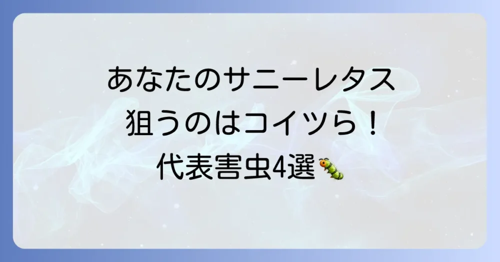 大切なサニーレタスを守るために!まずは知っておきたい代表的な害虫4選