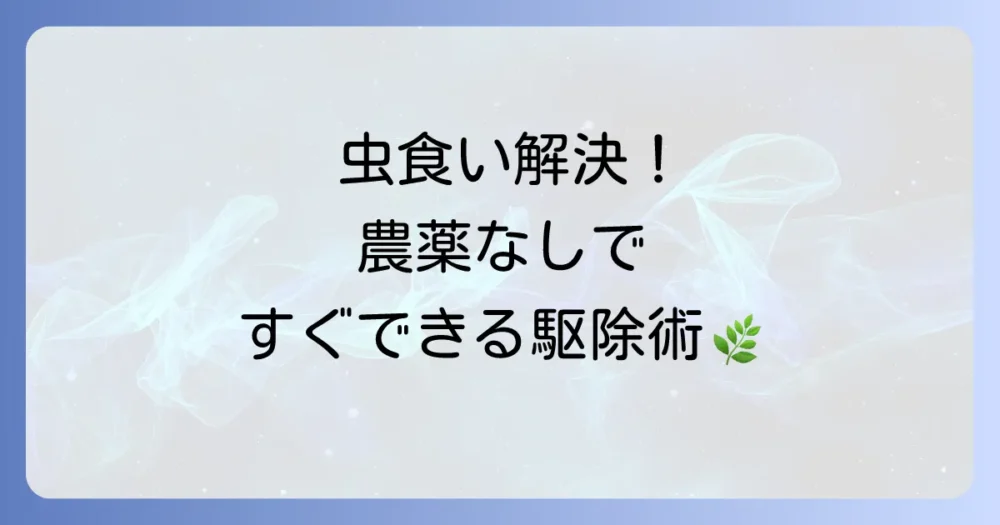 見つけたらすぐ実践!害虫別の駆除方法【農薬を使わない編】
