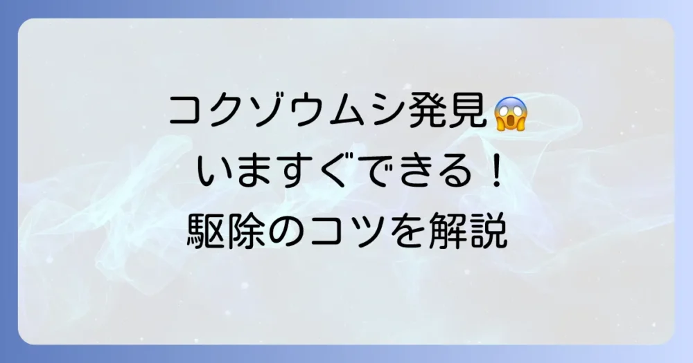 部屋にいるコクゾウムシ！今すぐできる駆除方法