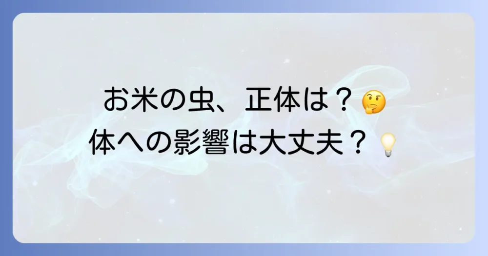 コクゾウムシってどんな虫？生態と人体への影響