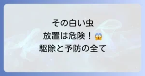 【完全ガイド】家にいる小さい白い虫の正体はチャタテムシ！害と駆除方法、予防策を徹底解説