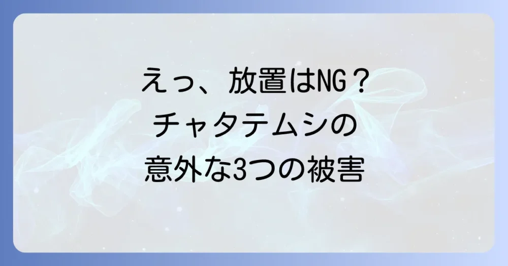 チャタテムシによる3つの被害！放置は危険？