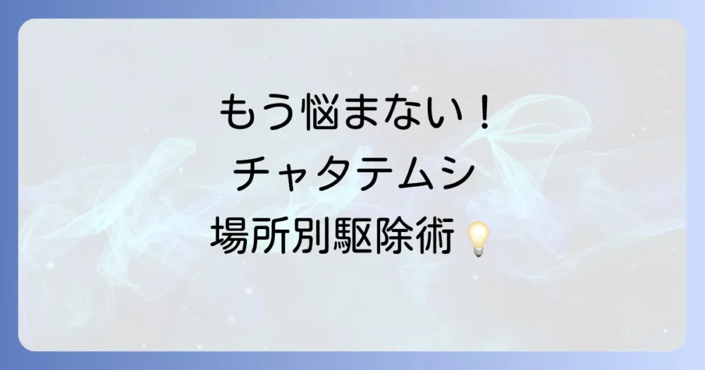 チャタテムシの駆除方法を場所別に徹底解説！