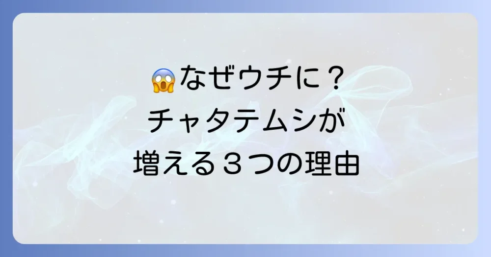 なぜ発生する？チャタテムシが好む3つの原因