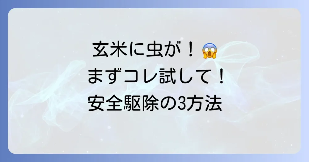 玄米にコクゾウムシ!まずやるべき駆除方法3選
