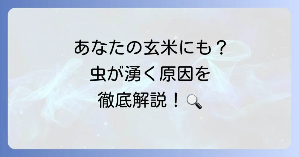 なぜ玄米にコクゾウムシが?主な発生原因を解説