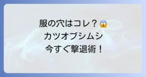 【カツオブシムシ駆除】市販薬の選び方と使い方|幼虫も根絶やしにする方法と予防策