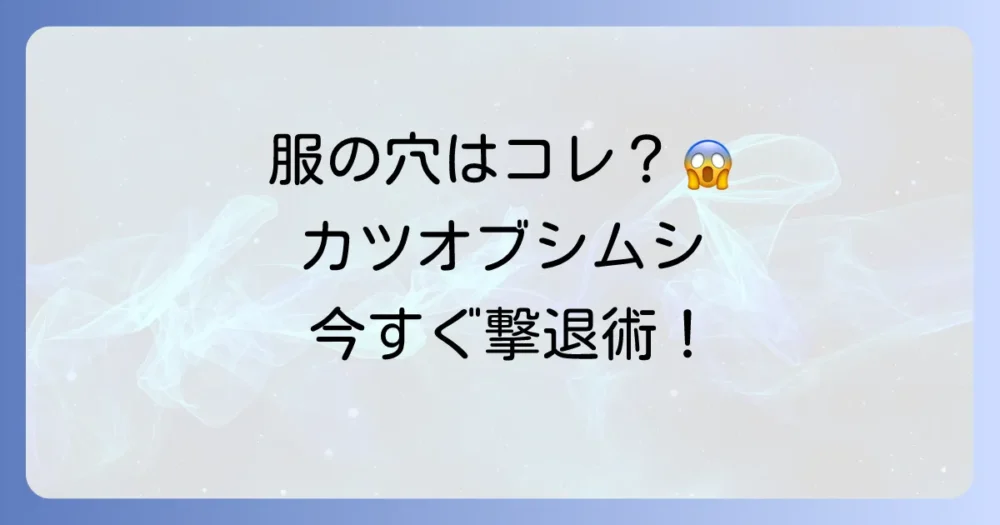 【カツオブシムシ駆除】市販薬の選び方と使い方|幼虫も根絶やしにする方法と予防策