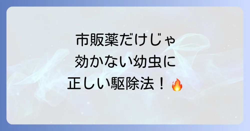 【要注意】市販の殺虫剤だけでは不十分?カツオブシムシ幼虫の正しい駆除方法