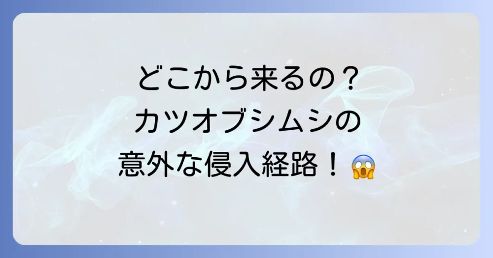 そもそもカツオブシムシはどこから来る?主な発生原因と侵入経路