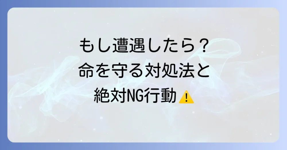 もしスズメバチに遭遇してしまったら?正しい対処法とNG行動