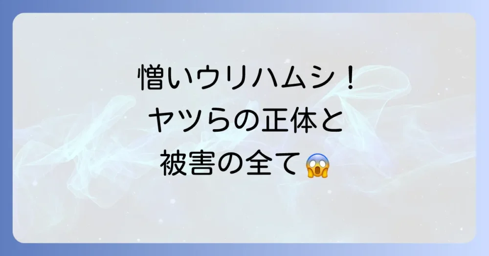 憎きウリハムシ!その生態と被害とは?