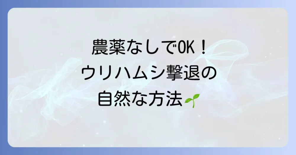 【無農薬・減農薬】自然の力でウリハムシを寄せ付けない方法