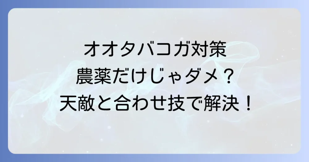 天敵と組み合わせたい!オオタバコガの総合的防除対策