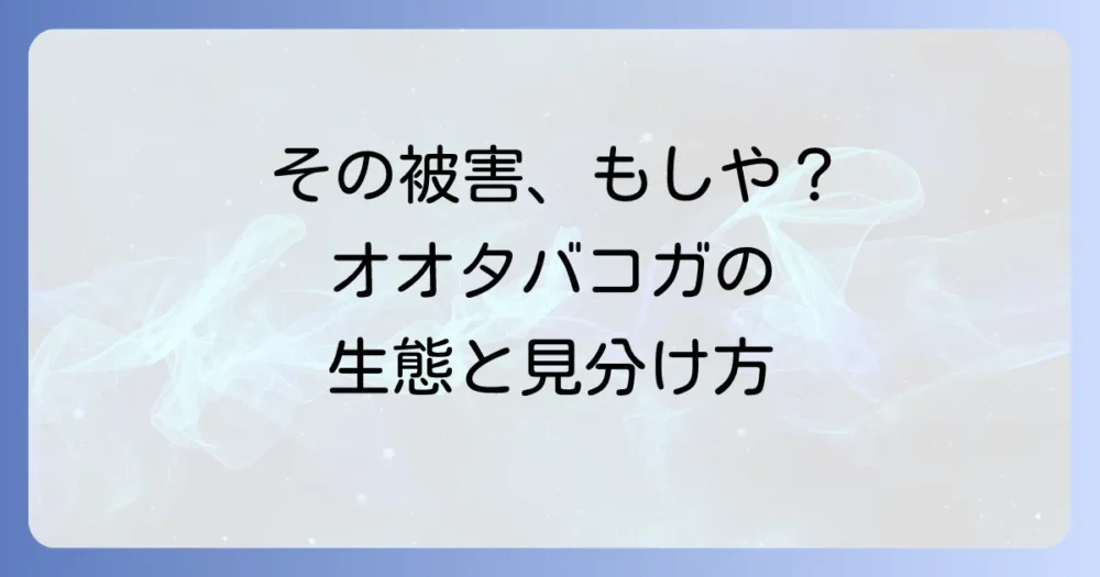 そもそもオオタバコガとは?生態と被害の特徴を知ろう
