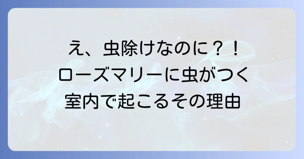 ローズマリーに虫?室内で発生する主な原因