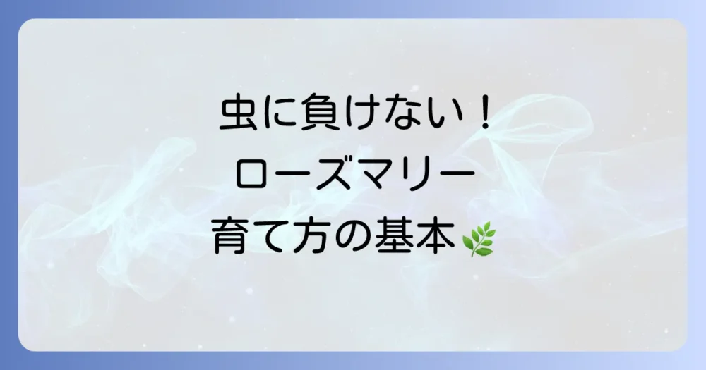 虫を寄せ付けない!室内でのローズマリーの育て方の基本