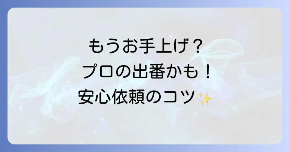 自分での対策は限界？プロの害虫駆除業者に相談する目安